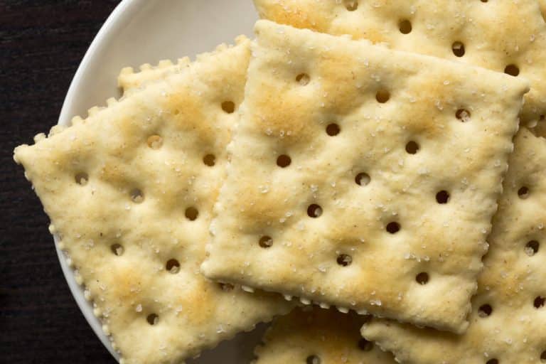 4 Best Substitutes For Saltine Cracker Miss Vickie