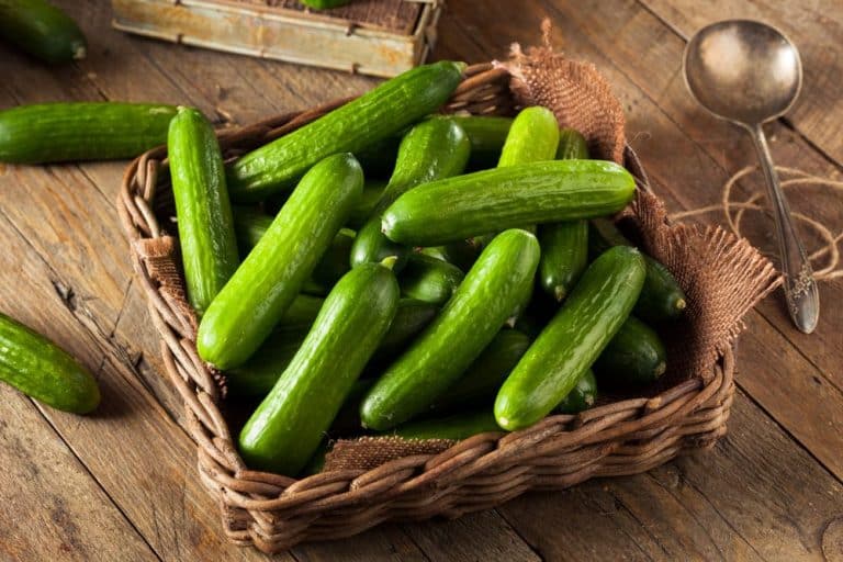 3 Best Ways To Cook Cucumbers Miss Vickie