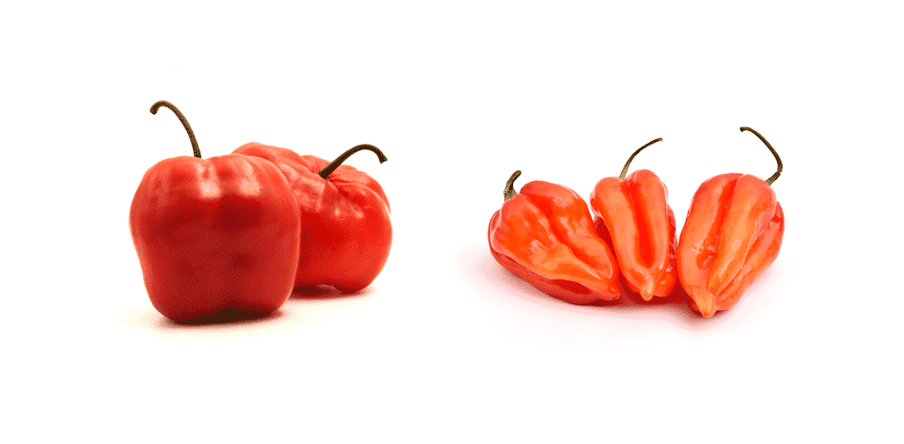 chile manzano vs habanero