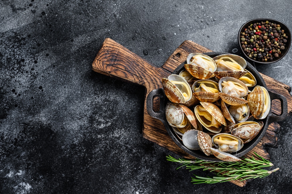 horseneck clam vs geoduck