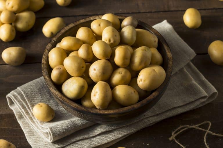 5 Best Substitutes for Yukon Gold Potatoes Miss Vickie