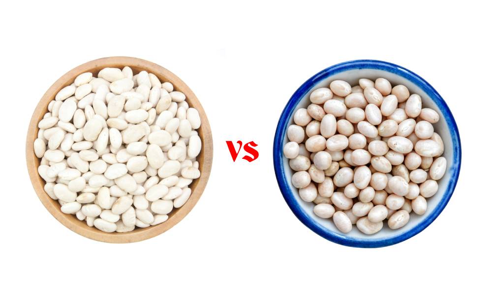 Cannellini Beans Vs. Great Northern Beans Similarities