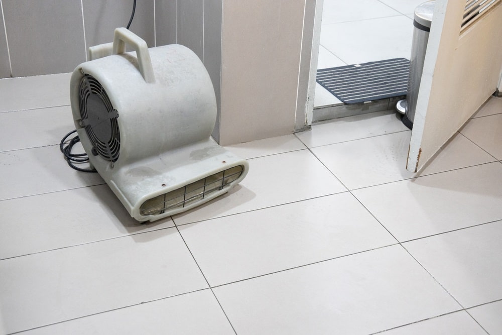 Floor dryer blower fan
