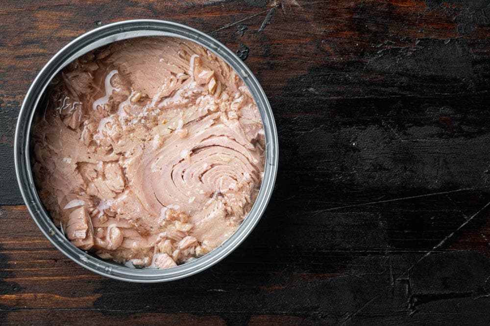 Canned soy free albacore white meat tuna set in tin can