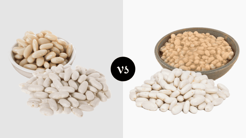 Cannellini Beans vs Great Northern Beans
