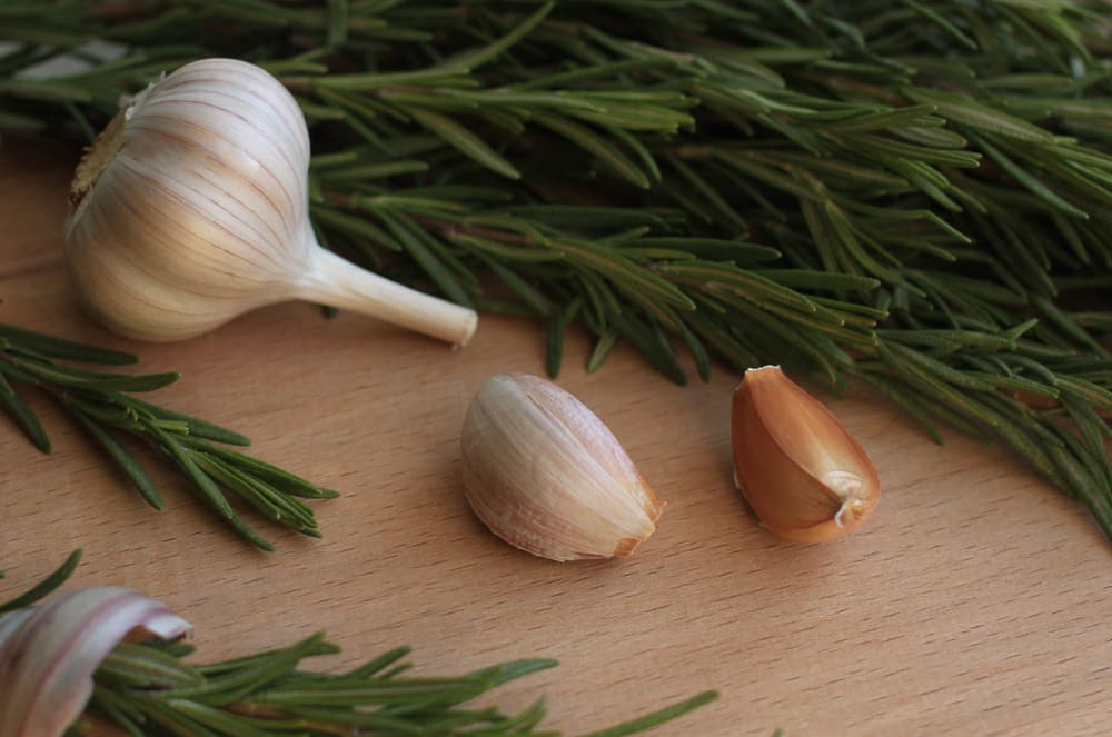 garlic vs shallots