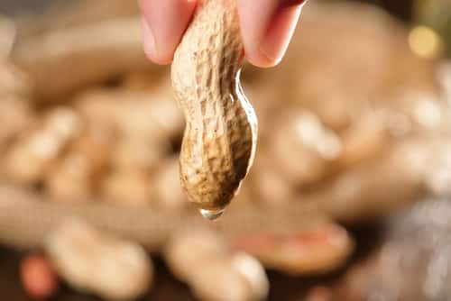 OIl from peanut