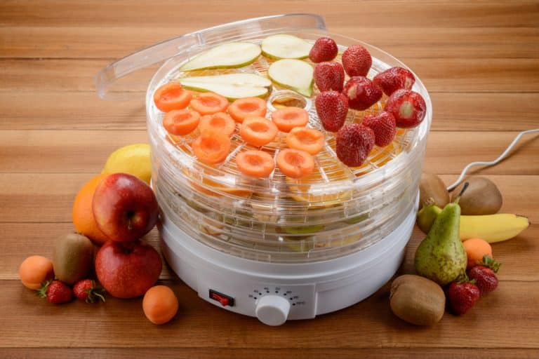 4 Ways To Troubleshoot Presto Food Dehydrator Not Working Miss Vickie