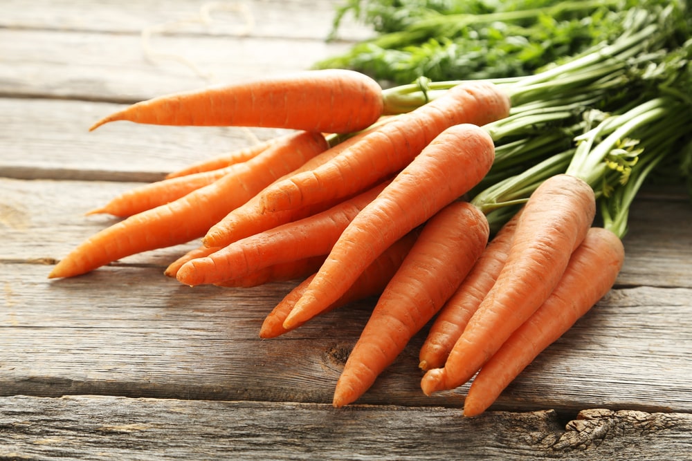 white slime on carrots