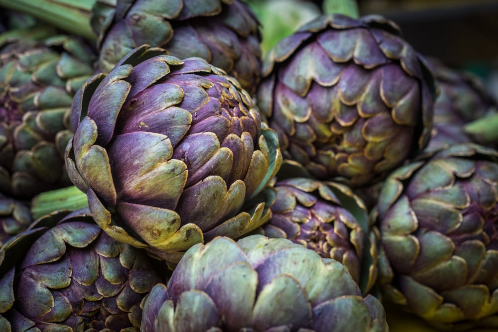 why are artichokes so expensive