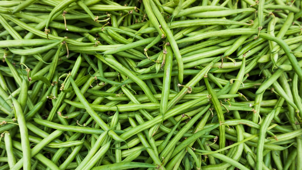 Fresh Green Beans