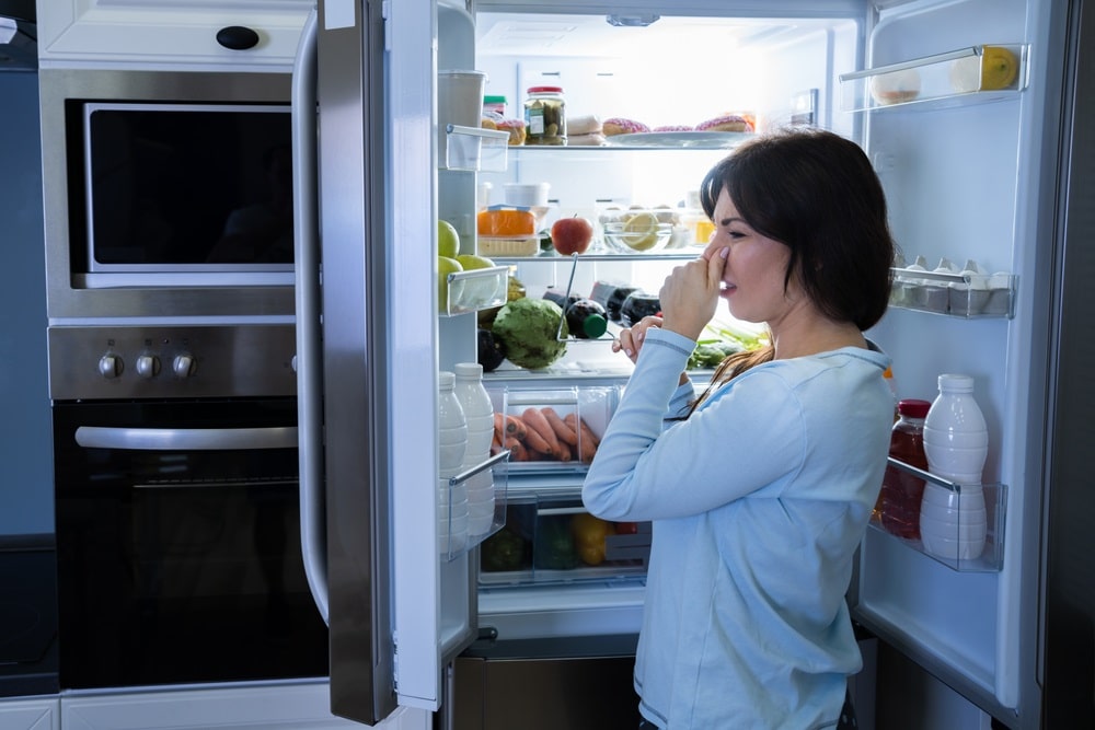 Rotten Food Bad Smell Or Stink In Refrigerator