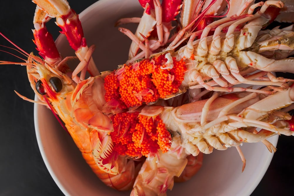 Can You Eat the Red Stuff in Lobster?