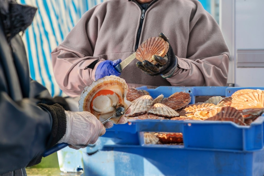 clean scallops fishmonger 