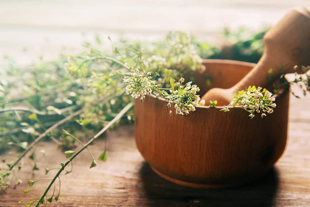 mortar and pestle vs grinder