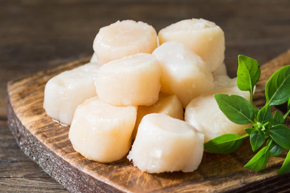 Should Scallops Smell Fishy?
