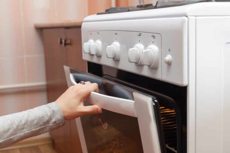 Gas vs Electric Oven For Baking (Which is Better?) Miss Vickie