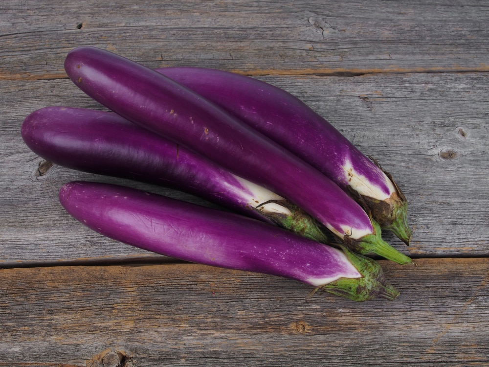 chinese eggplant vs regular eggplant