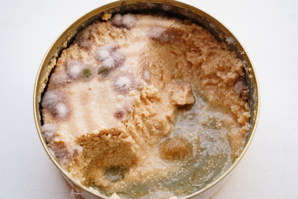 multi-colored mold on canned food