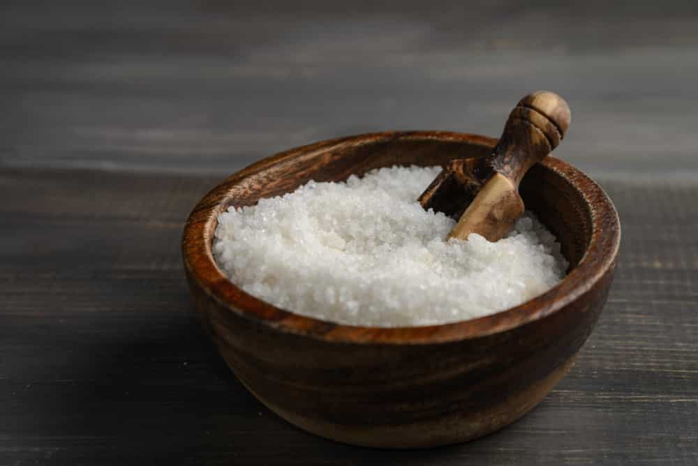 Can You Substitute Sea Salt For Kosher Salt In A Recipe