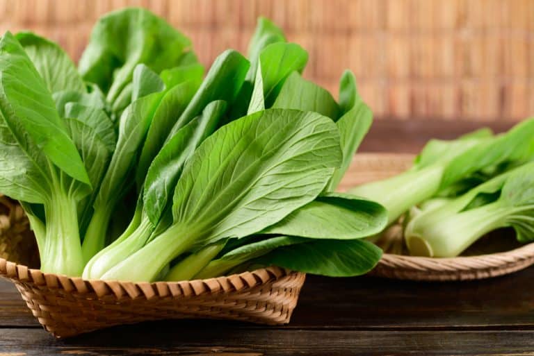 bok-choy-vs-choy-sum-how-to-differentiate-miss-vickie