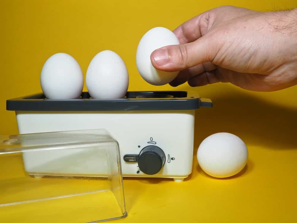 how to clean dash egg cooker