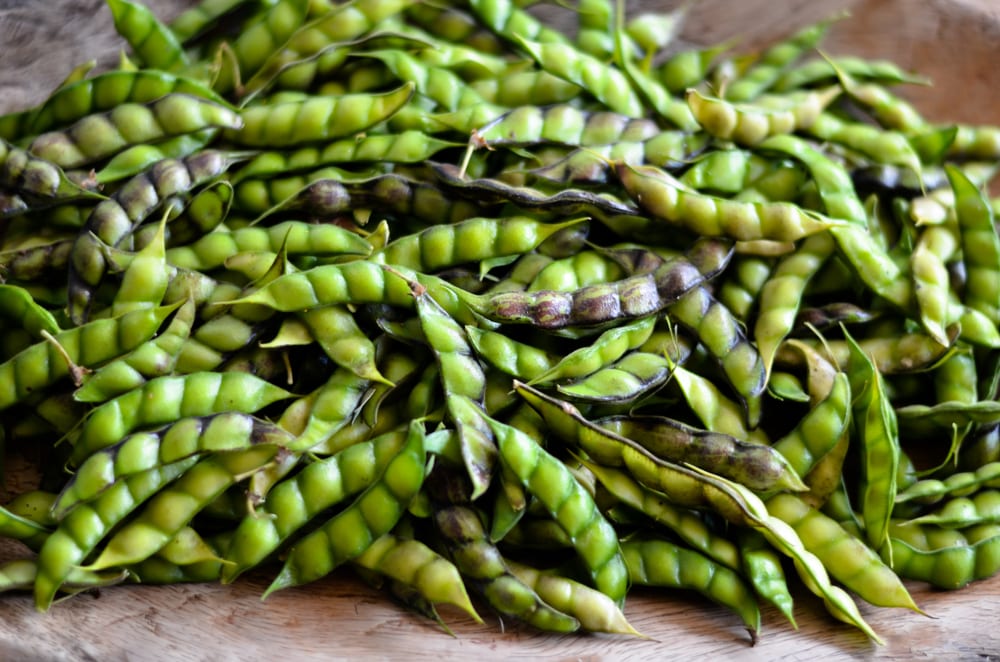 pigeon peas vs green peas