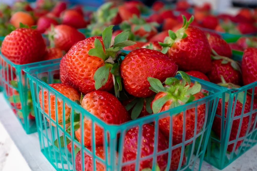 pint vs quart of strawberries