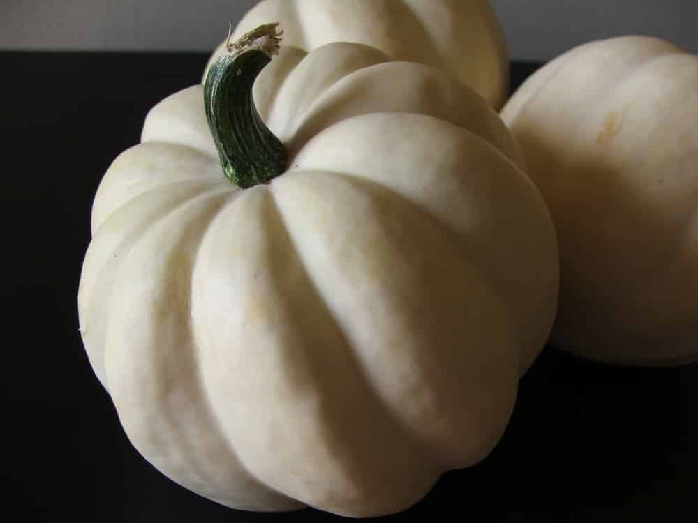 white acorn squash vs green