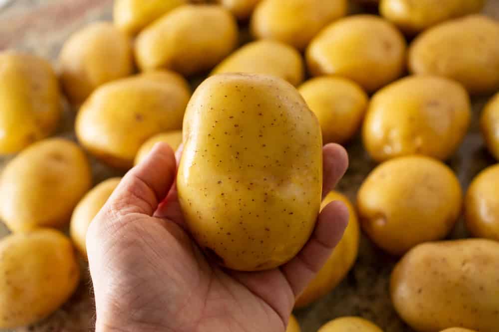 A hand holding potato with potatoes in background