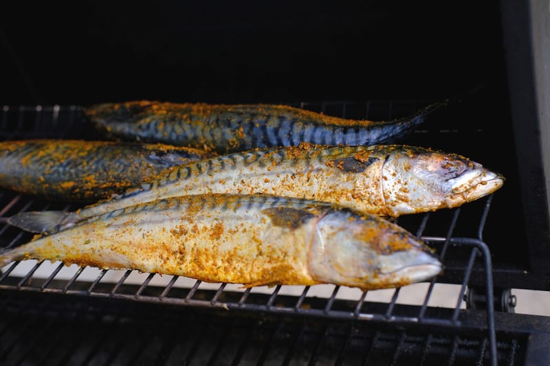 closeup smoking mackerel fish