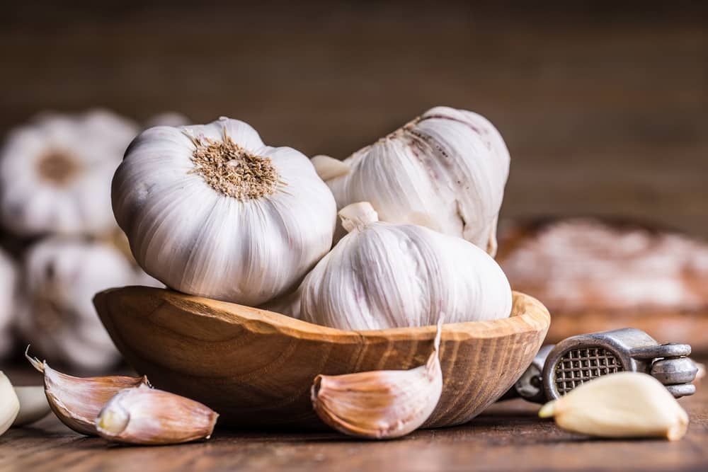 Garlic Cloves and Bulb in vintage wooden bowl.