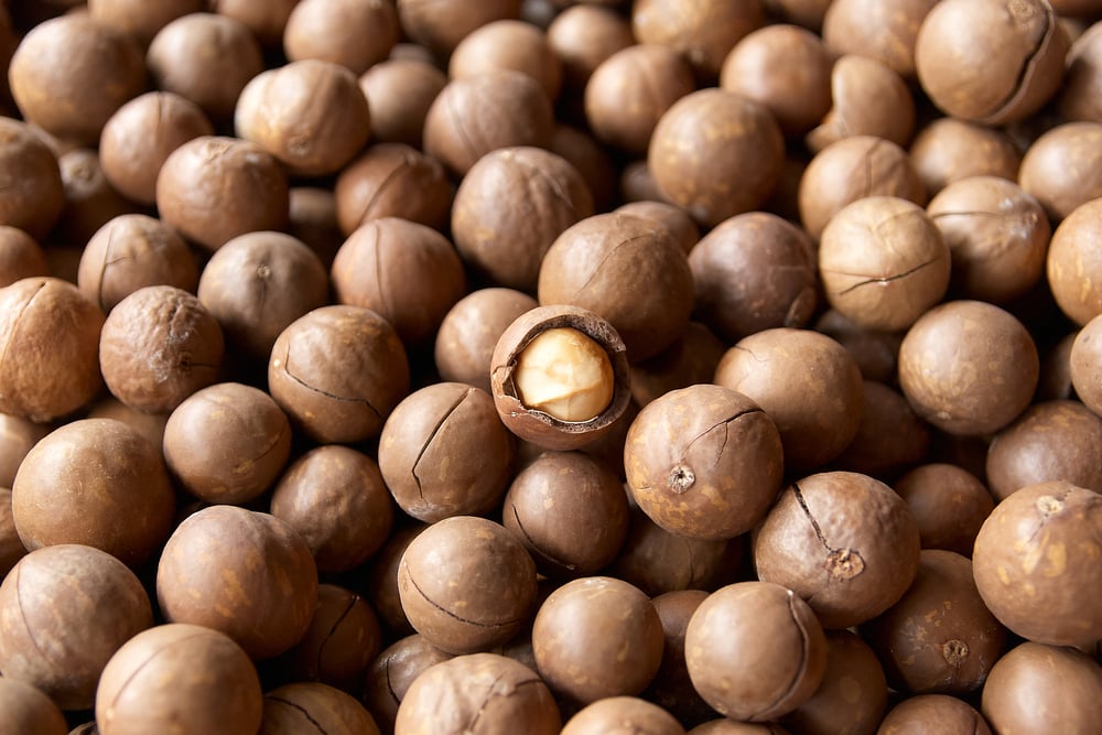 how to tell if macadamia nuts have gone bad