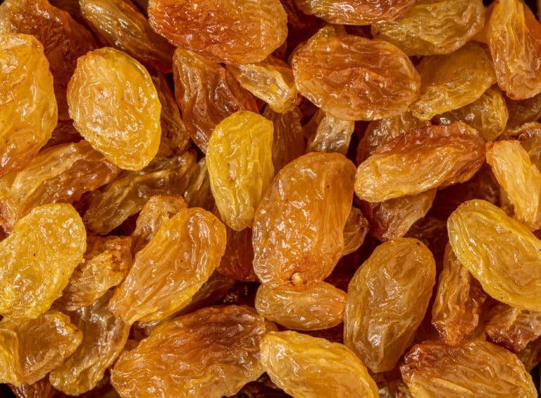 How To Tell If Raisins Have Gone Bad Quick Guide Miss Vickie