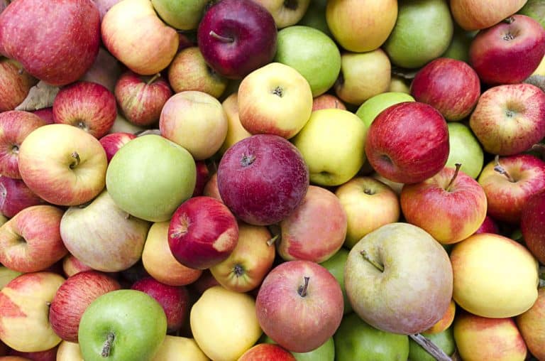 8 Best Substitutes For Bramley Apples Miss Vickie