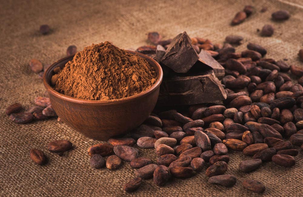 Raw cocoa beans, clay bowl with cocoa powder