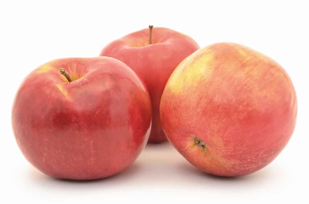 Red, ripe apples Jonagold isolated on white background