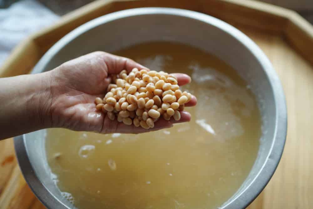 Soybean in hand and soak in water