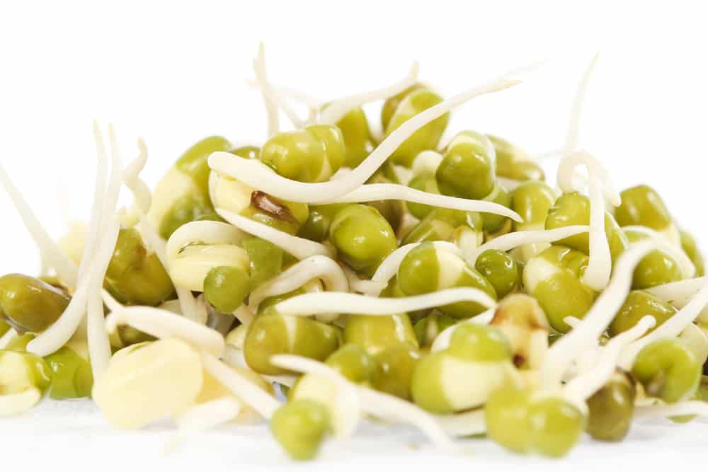 Soybean Sprouts vs Mung Bean Sprouts