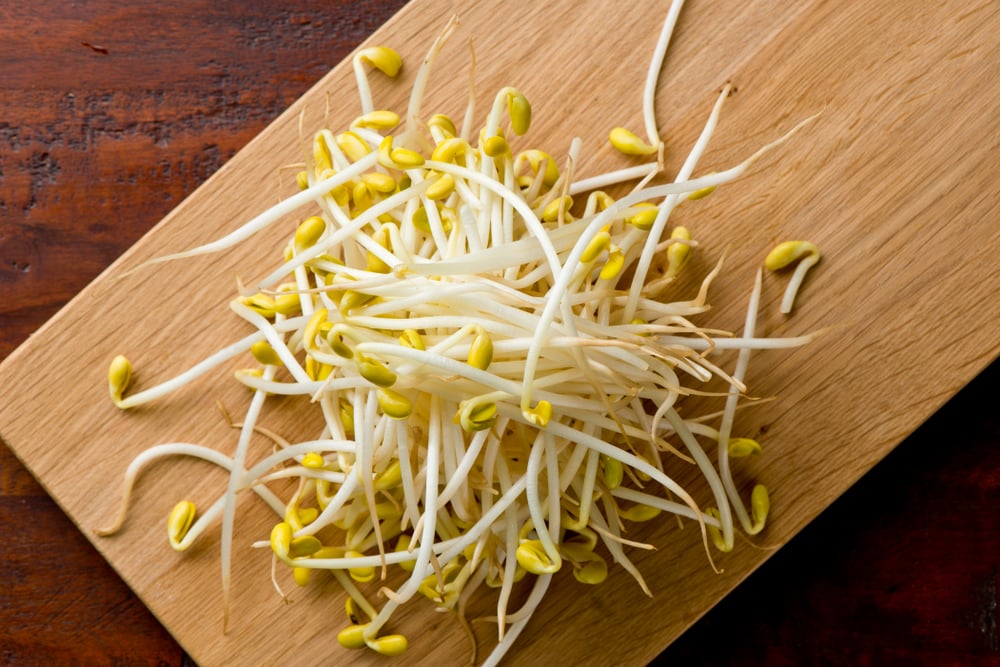 What Do Bean Sprouts Taste Like?