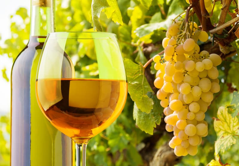 white wine grapes