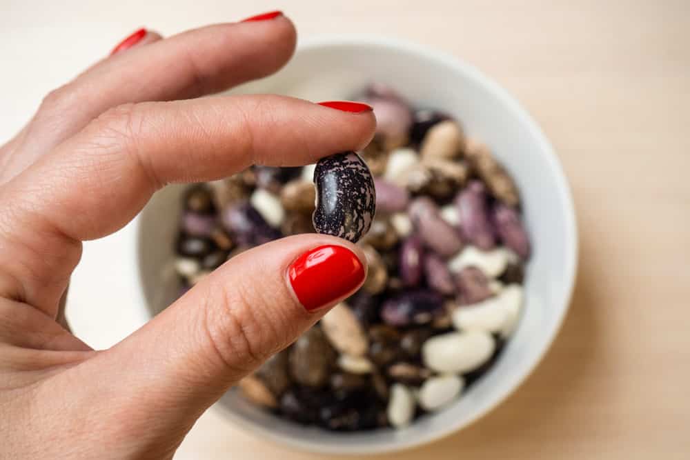 Woman's hand holds beans