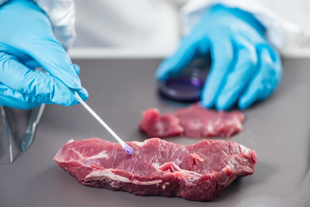 Food safety expert inspecting red meat