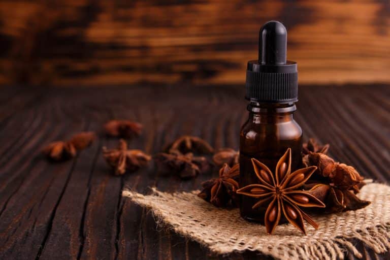 Anise Extract vs Anise Oil What Makes Them Different? Miss Vickie