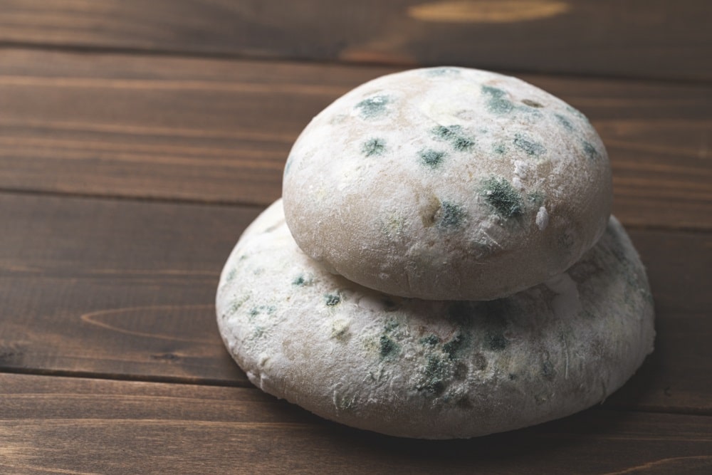 Can Rice Cakes Get Moldy?