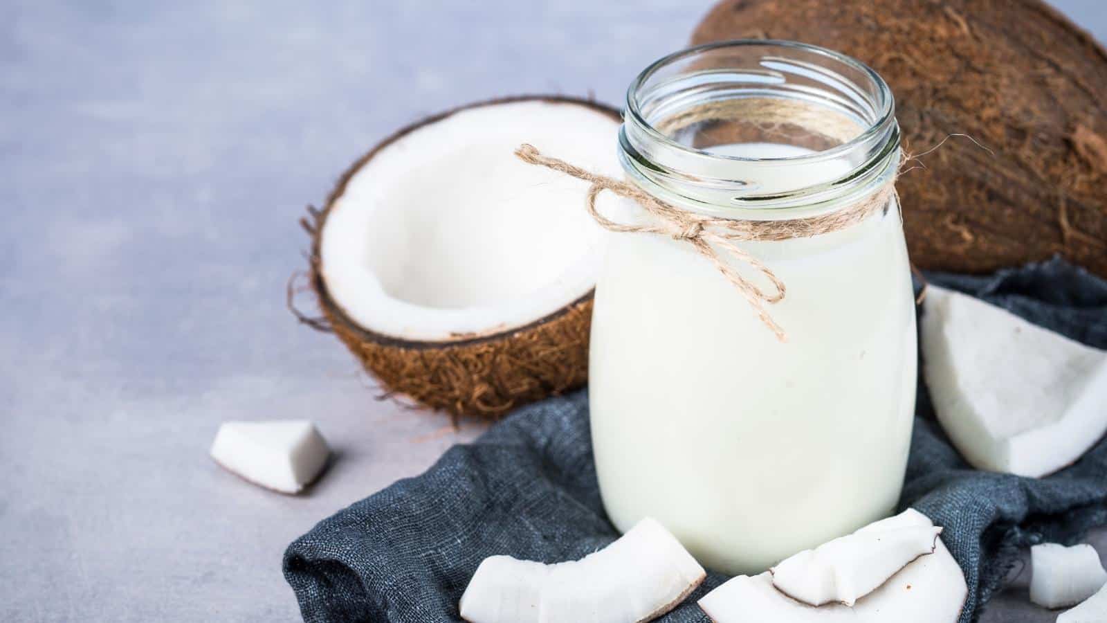 Coconut Milk Solid