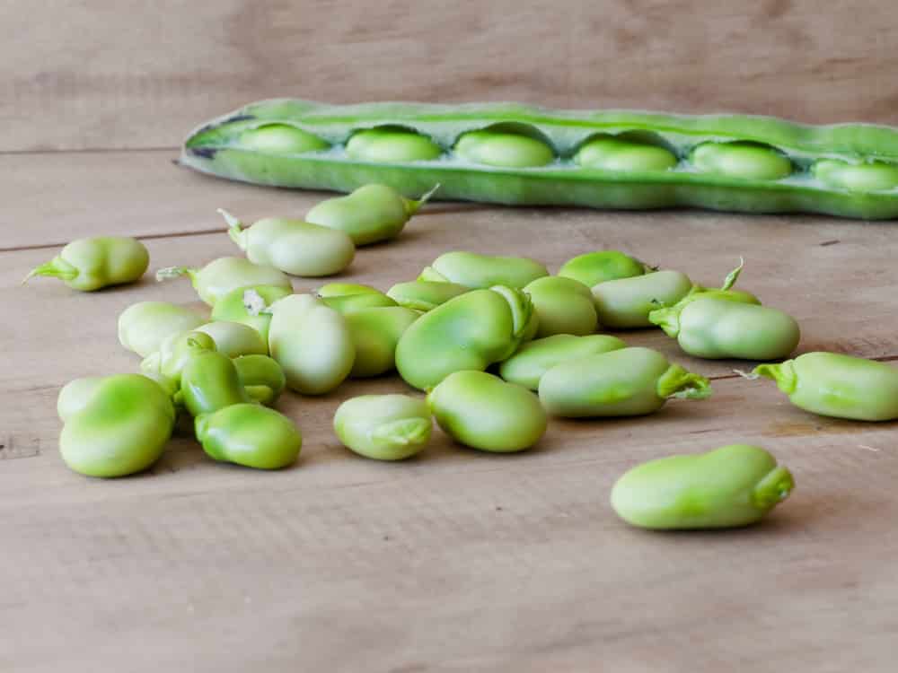 Ecological seedcase lima beans in a wooden table