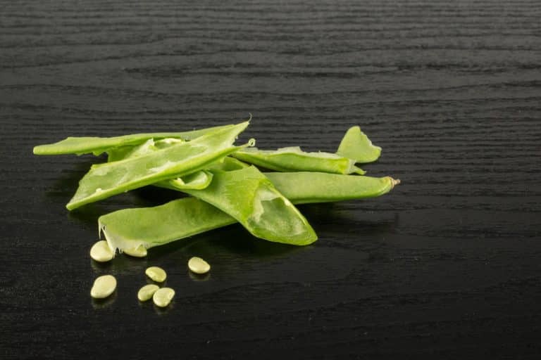 Romano Beans vs Pinto Beans What's the Difference? Miss Vickie