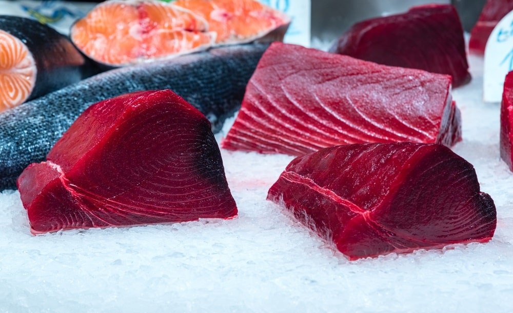 fresh tuna filet on display