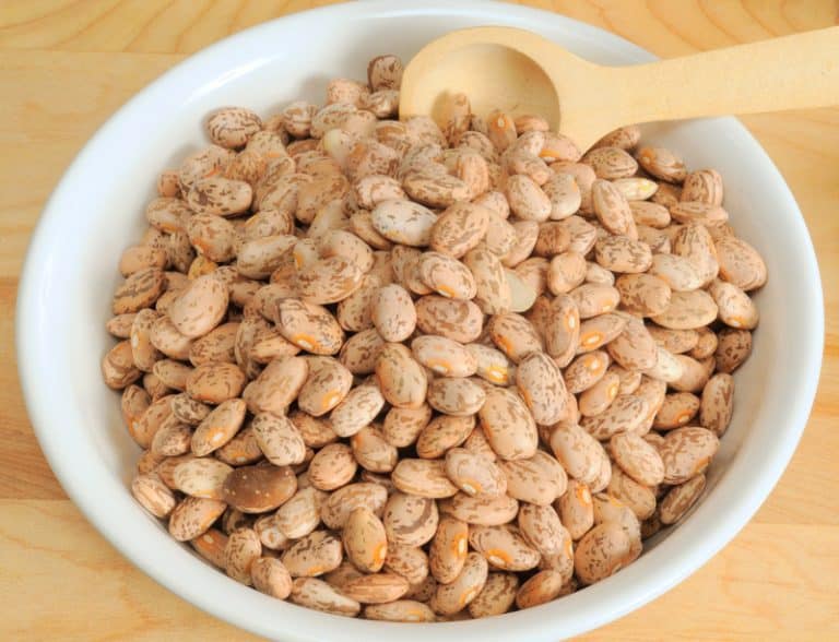 Romano Beans vs Pinto Beans What's the Difference? Miss Vickie